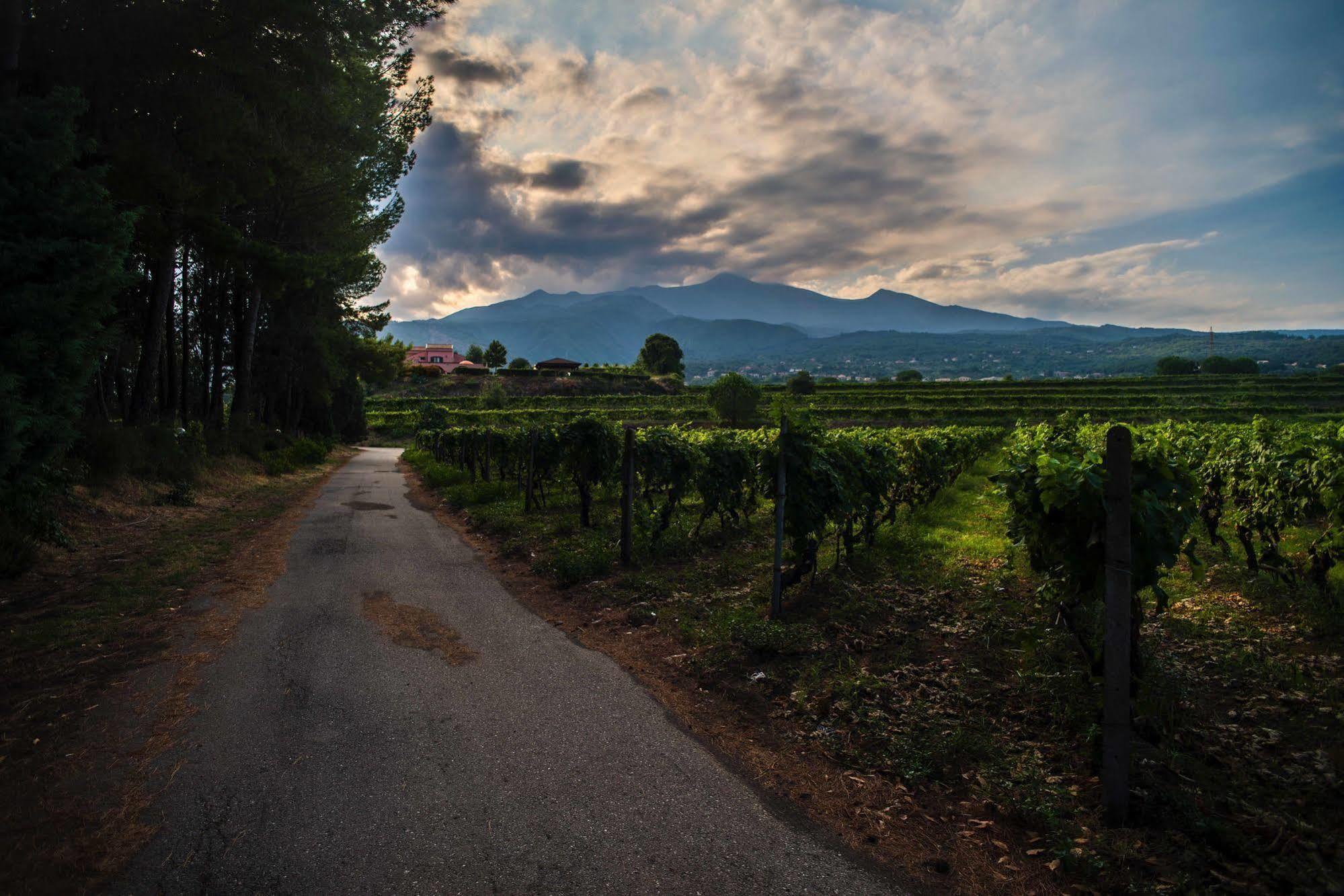 Agriturismo Tenuta San Michele サンタ・ヴェネリーナ エクステリア 写真