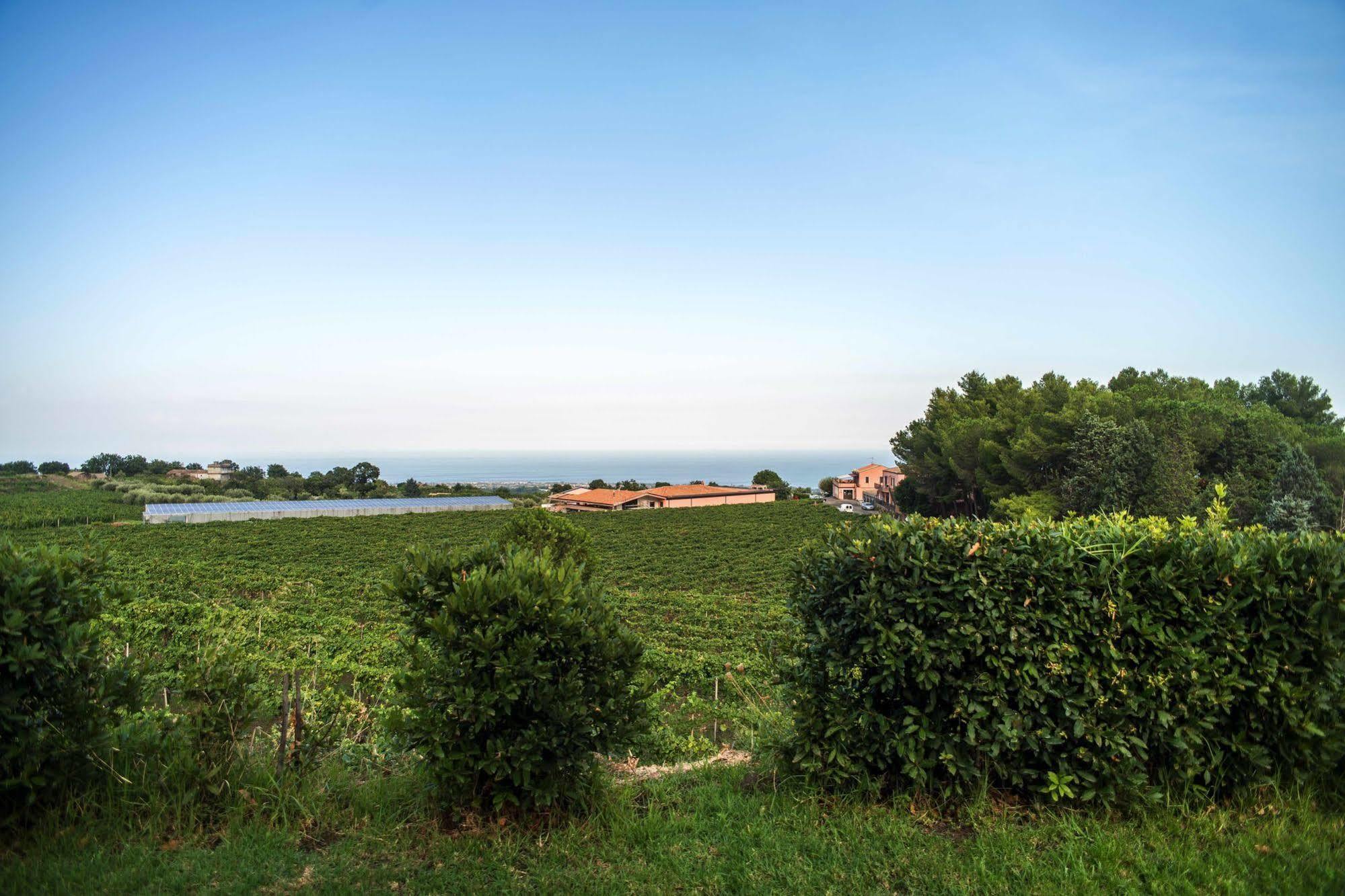 Agriturismo Tenuta San Michele サンタ・ヴェネリーナ エクステリア 写真