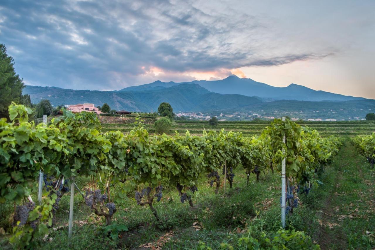 Agriturismo Tenuta San Michele サンタ・ヴェネリーナ エクステリア 写真